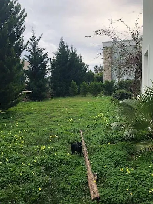 Torba Residence 0*,  Турция